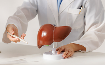 간·폐 기능 강화